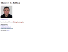 Tablet Screenshot of beldingconsulting.com